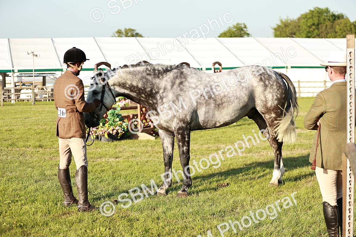 SBM_20520 - Class 117-119 - Sport Horse Working Hunter