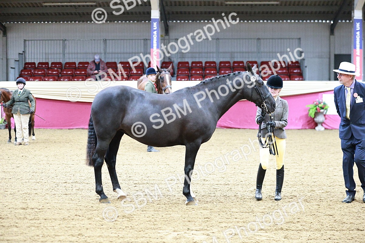 SBM_00218 - Class 1A - Area IH Diamond