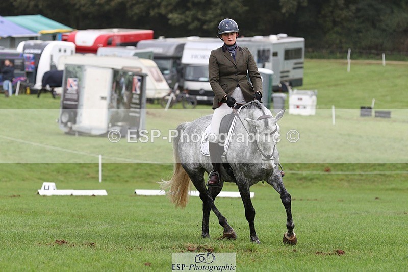 231019-152923-04892 - 553-HARLEQUIN.RABBIT-Althea.Bleekman-DR