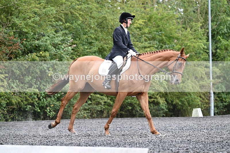 WJ7_7242 - Time 12:53 to 13:18