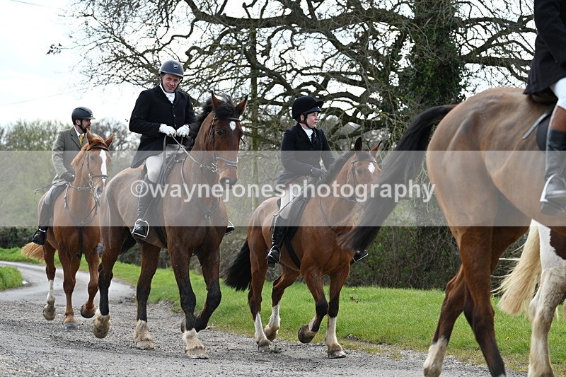 WJ7_9882 - Walk Home