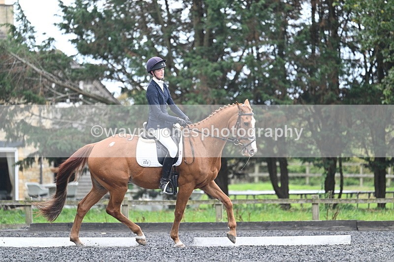 WJ7_6675 - Time 14:49 to 15:14