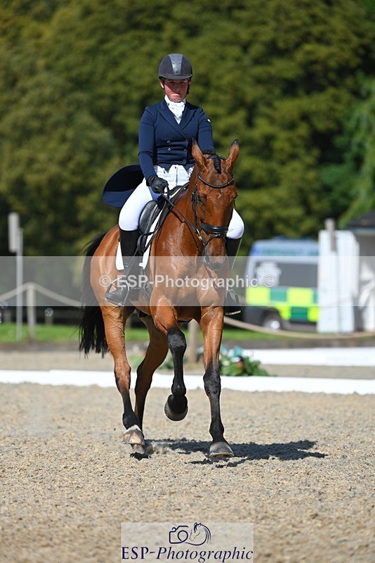 230526-160652-07271 - 253-MY_EASTWOOD_BRIGHTSIDE-Darcy_Zander-WEDTrotUp+DR