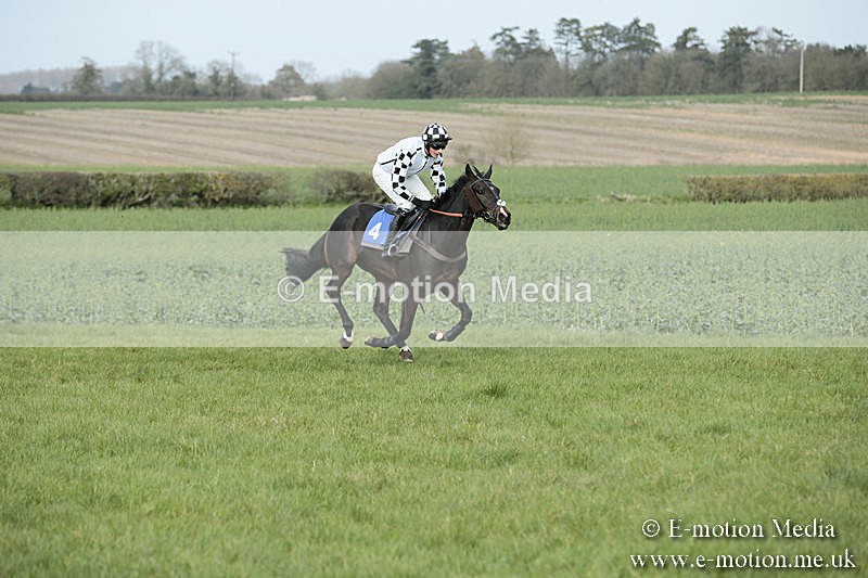 PtP 230319 290 - VWH Hunt Siddington Point-to-Point Racing 23/03/19