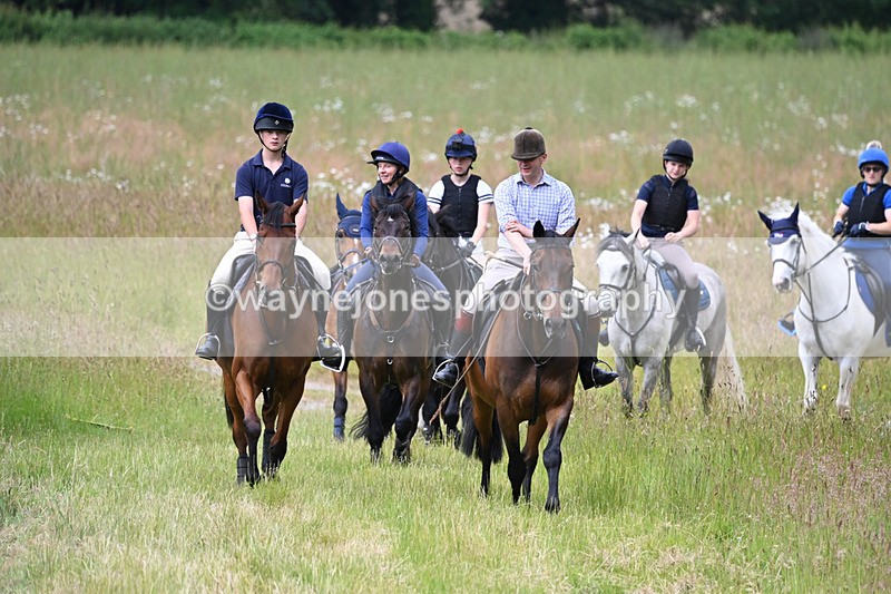 WJ6_7860 - Camera 1 Gallops