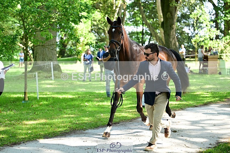 260527A-153206-01255 - C-390-Marcio.Appel