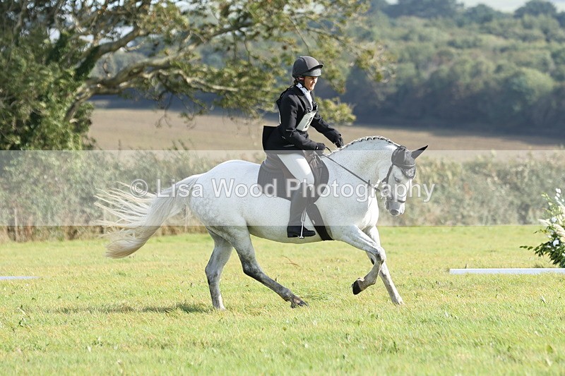 JPP_8096 - Class 2A: Trekenning Open: Dressage