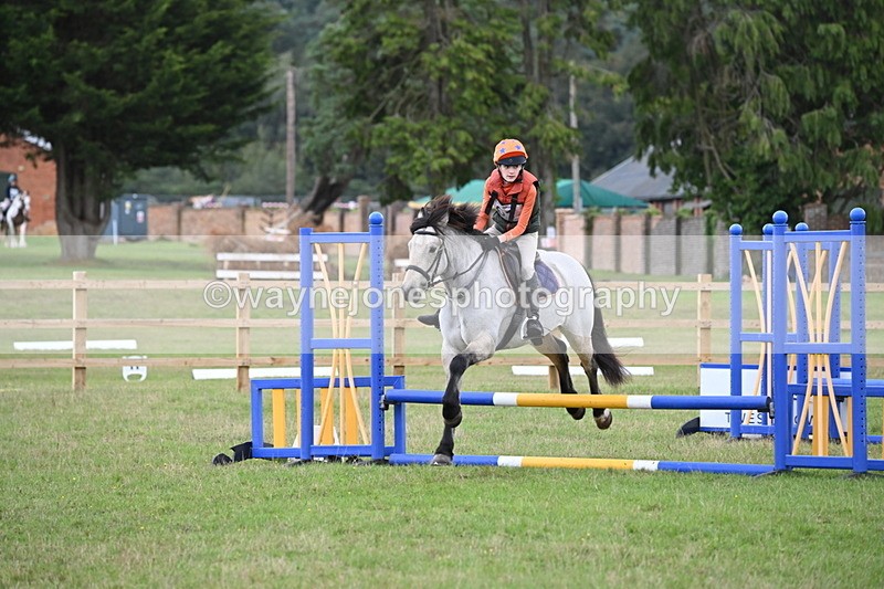 WJ6_1612 - 60cm Time 12:11 to 12:28