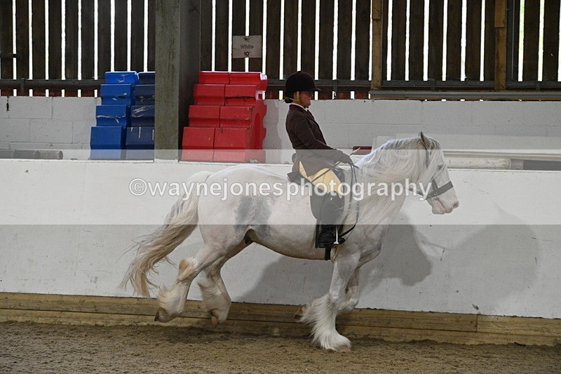 WJ7_4239 - Class 17 Ridden Cob