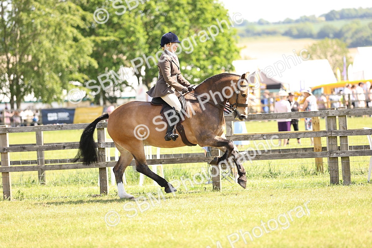 SBM_13719 - Class 77 - LIHS BSHA Rising Star Cobs