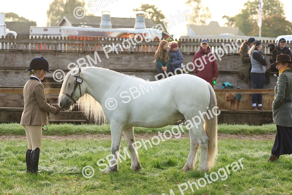SBM_54530 - S38 - Starters Best Turnout