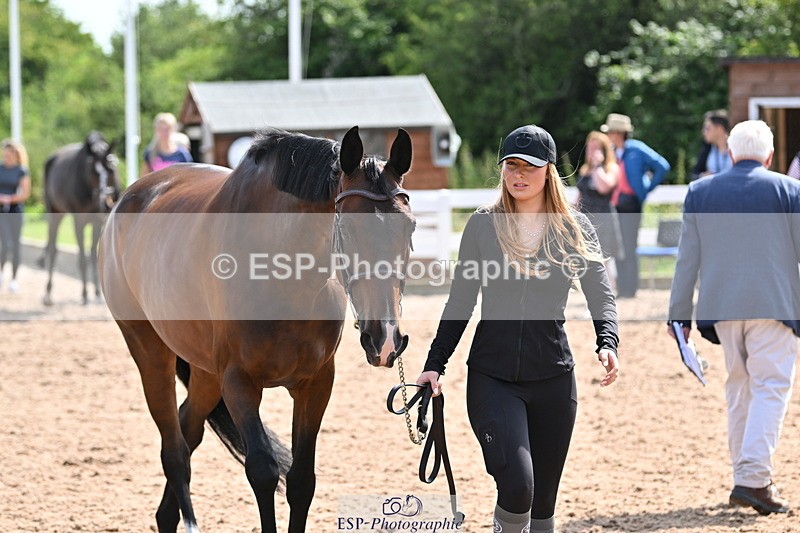 240717A-154124-02981 - Trot Up 3pm to 4pm