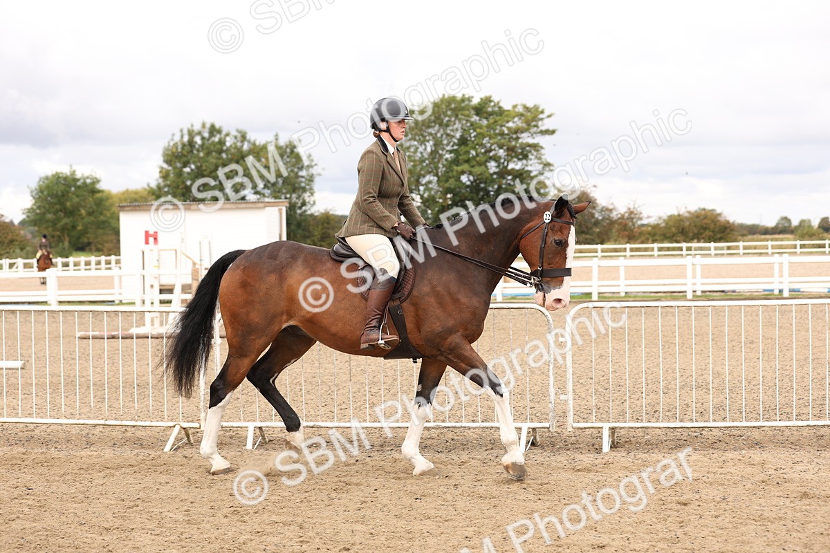 SBM_02796 - Class 53 - Ridden Competition Horse/Pony