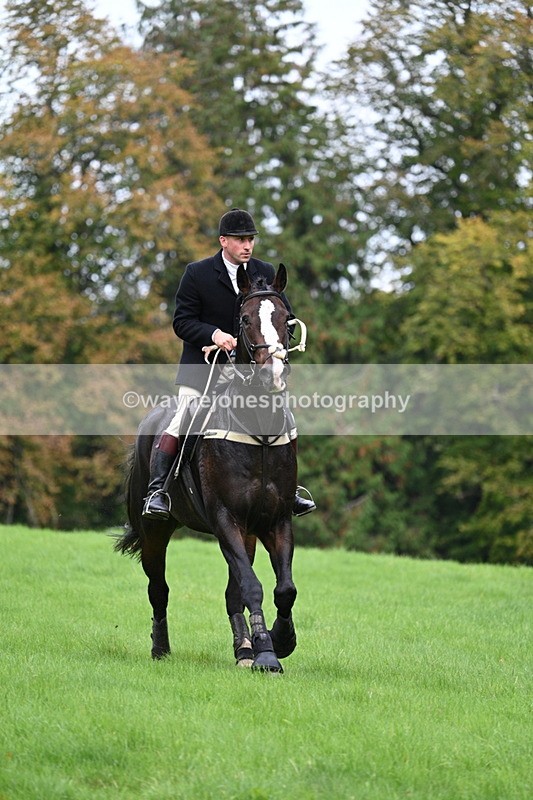 WJ7_4326 - Camera 1 Line 3