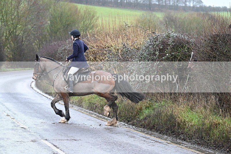 WJ7_6980 - Crossing A Camera