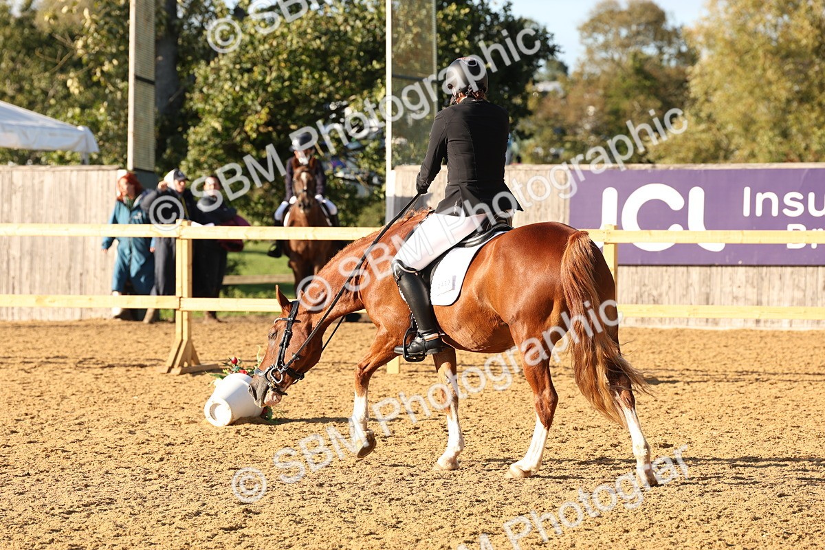 SBM_11689 - D9 - Small Tour Championship Prelim 3
