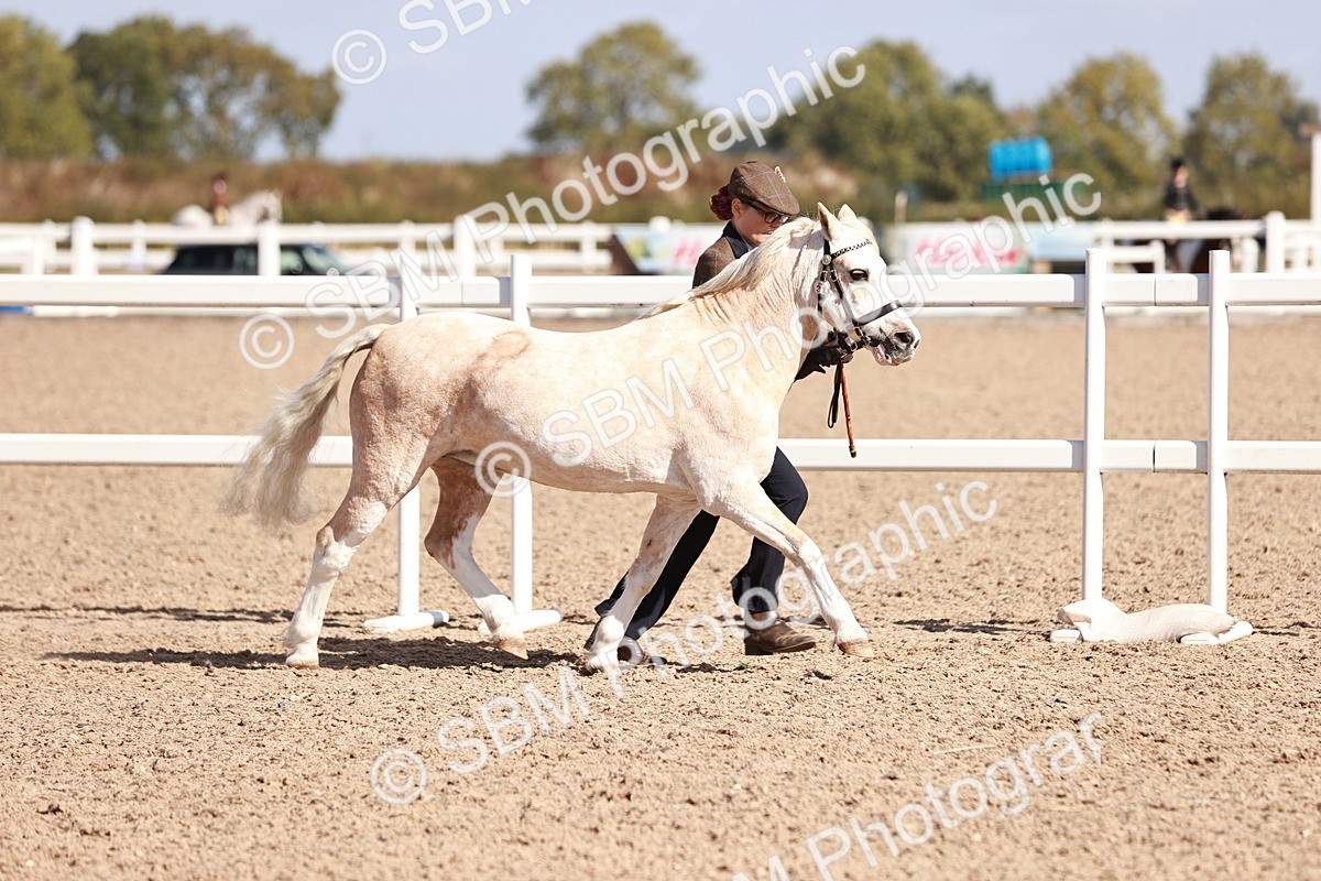 SBM_22878 - Class 706 - IH Veteran