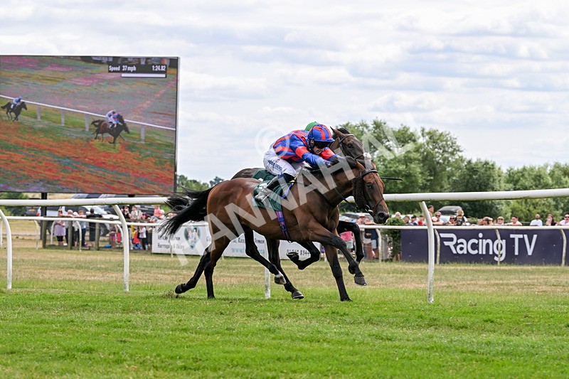 220726-Race 2-Koodini-9032 - Race 2 14.37pm Try Racing TV For Free Now Nursery Handicap