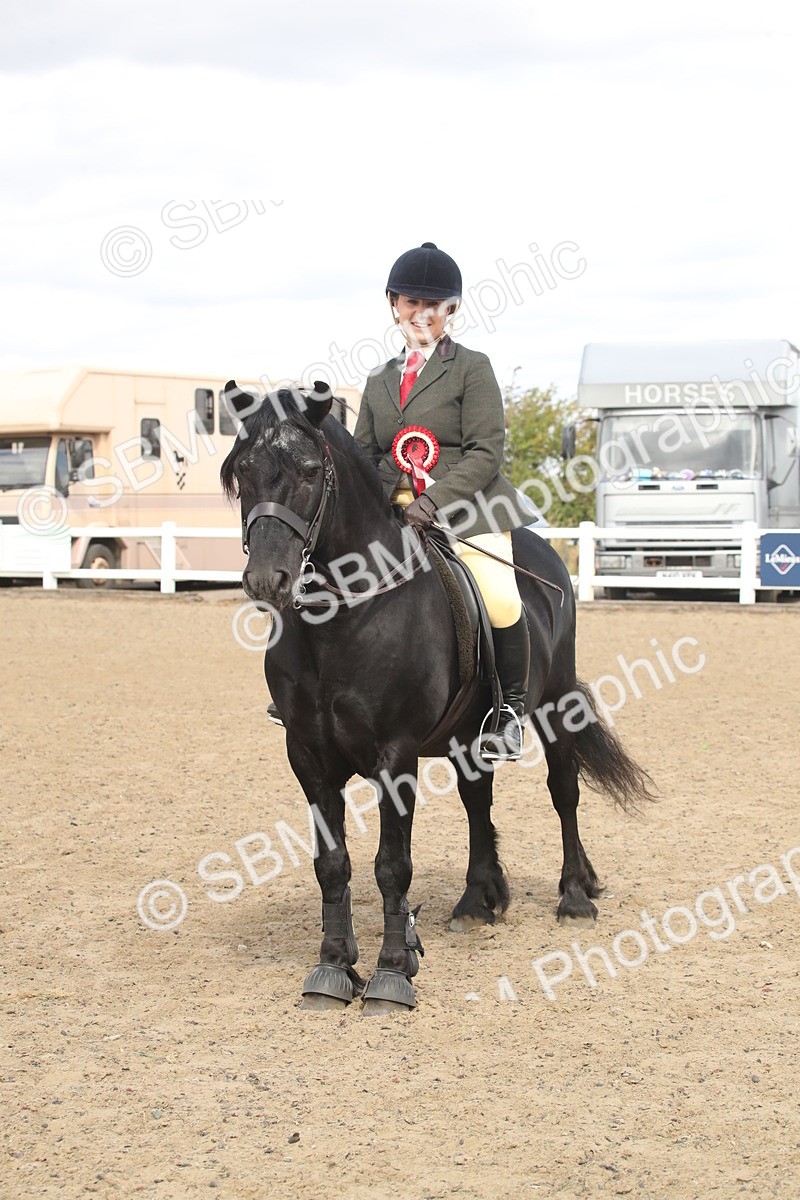 SBM_15188 - Class 505b - M&M Working Veteran - 50cm (20+)