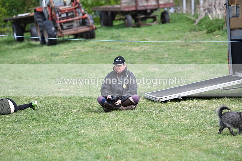 WJ5_0791 - Best in Show Championship