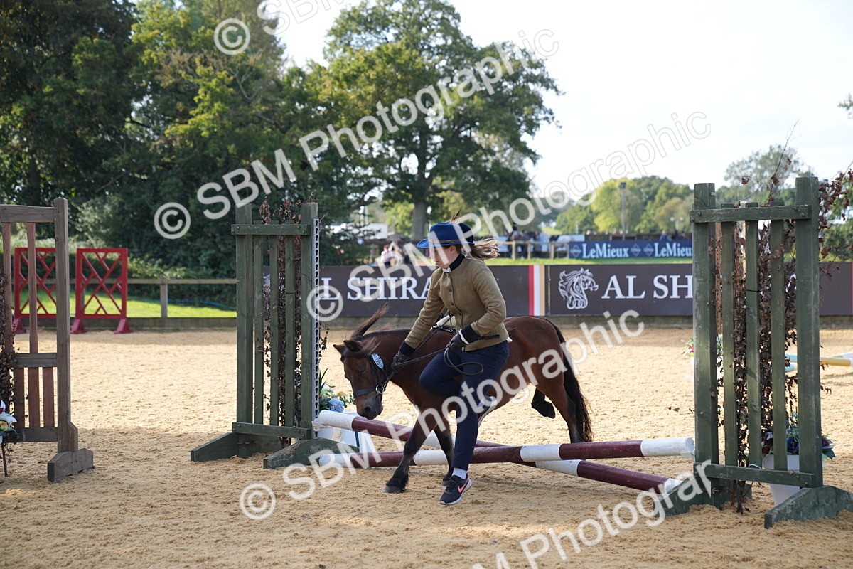 SBM_61415 - J1 - Mini Tour Junior Pony Lead Rein 30cm Championship