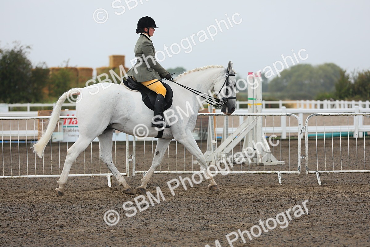 SBM_21231 - Class 805 - Ridden Veteran Horse