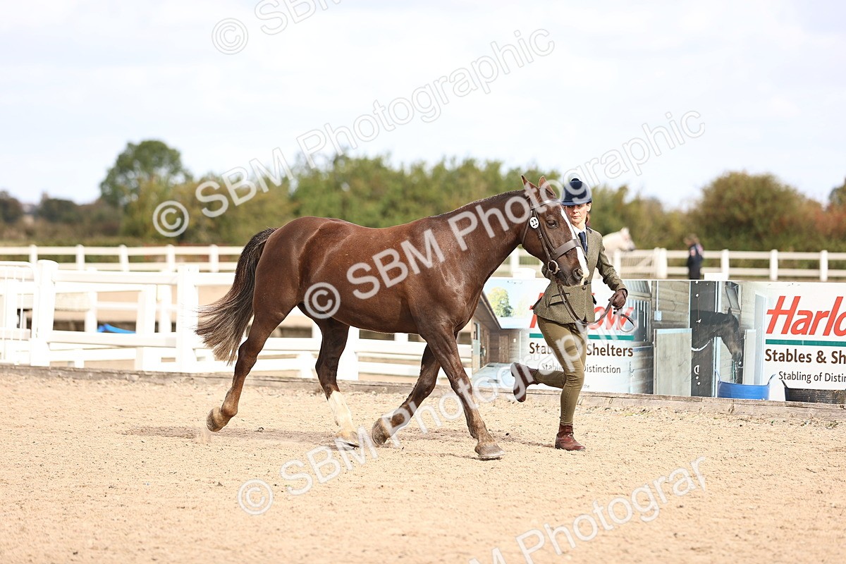 SBM_10366 - Class 405 - IH Show Cob