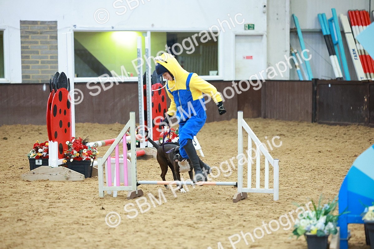 SBM_002232 - Class 3 - Horse & Hound (60cm)