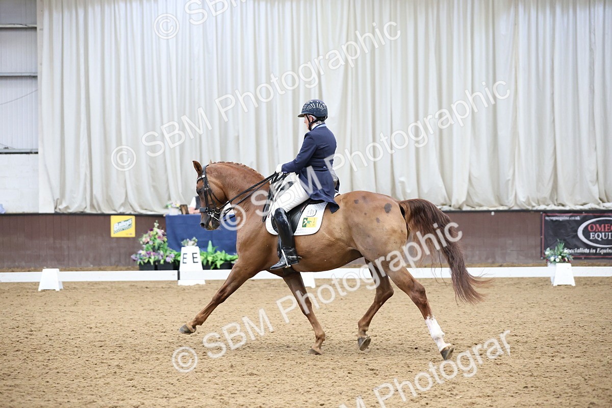 SBM_004762 - Class 9 - FEI Inter 1 Gold - 16.59-17.47