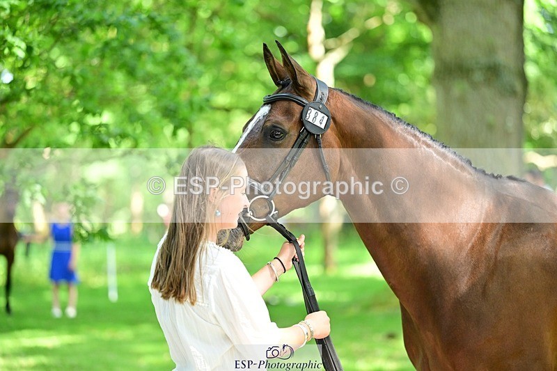 260527A-151801-01049 - C-384-Katie.Maclean