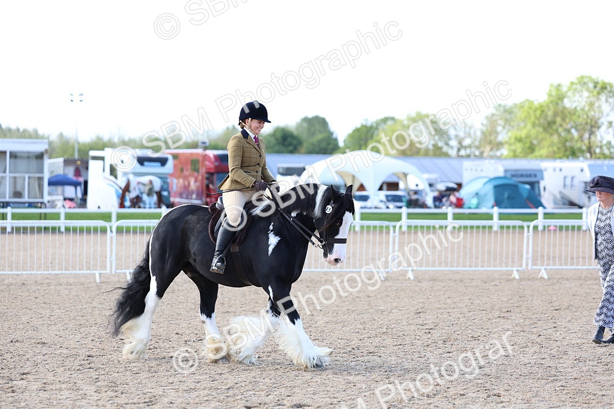 SBM_11406 - Class 307 - Ridden Coloured Pony