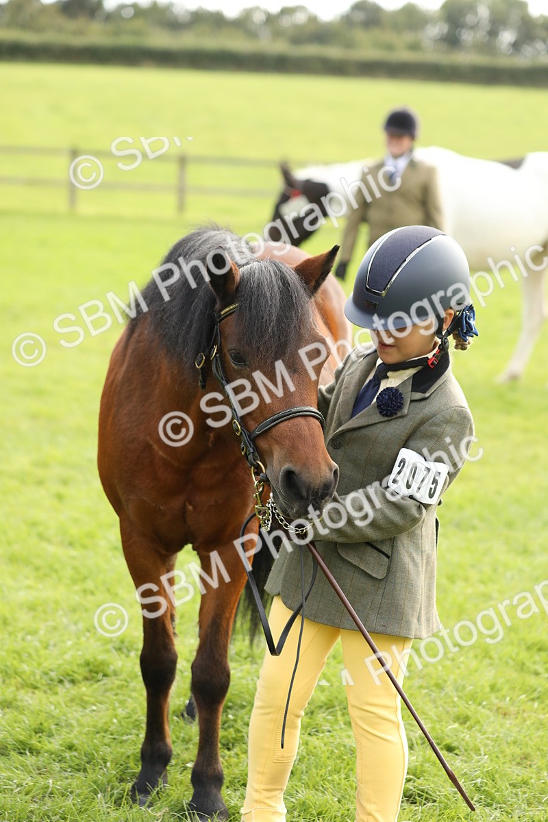 SBM_68707 - S40 - Junior Handler 9-12 Years