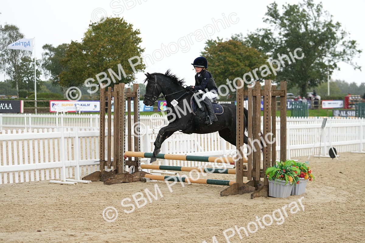 SBM_43274 - J7 - Junior Pony 60cm Championship