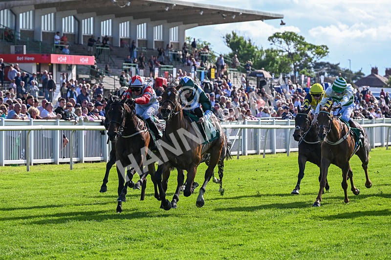 310526-Race 5-Fandom-9082 - Race 5 17.45pm Sky Bet Price Boosts Handicap
