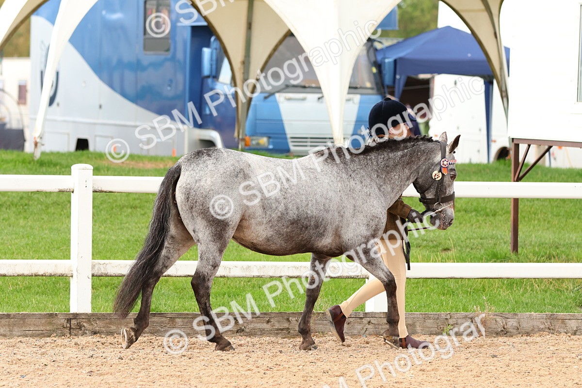 SBM_09171 - Class 204 - Young Handler