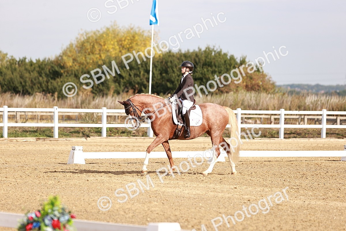 SBM_016856 - Class 10 - Medium 6