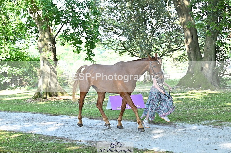 250521A-161221-00981 - C-260-Georgie.Frow-RIVERSTOWN.ROYAL