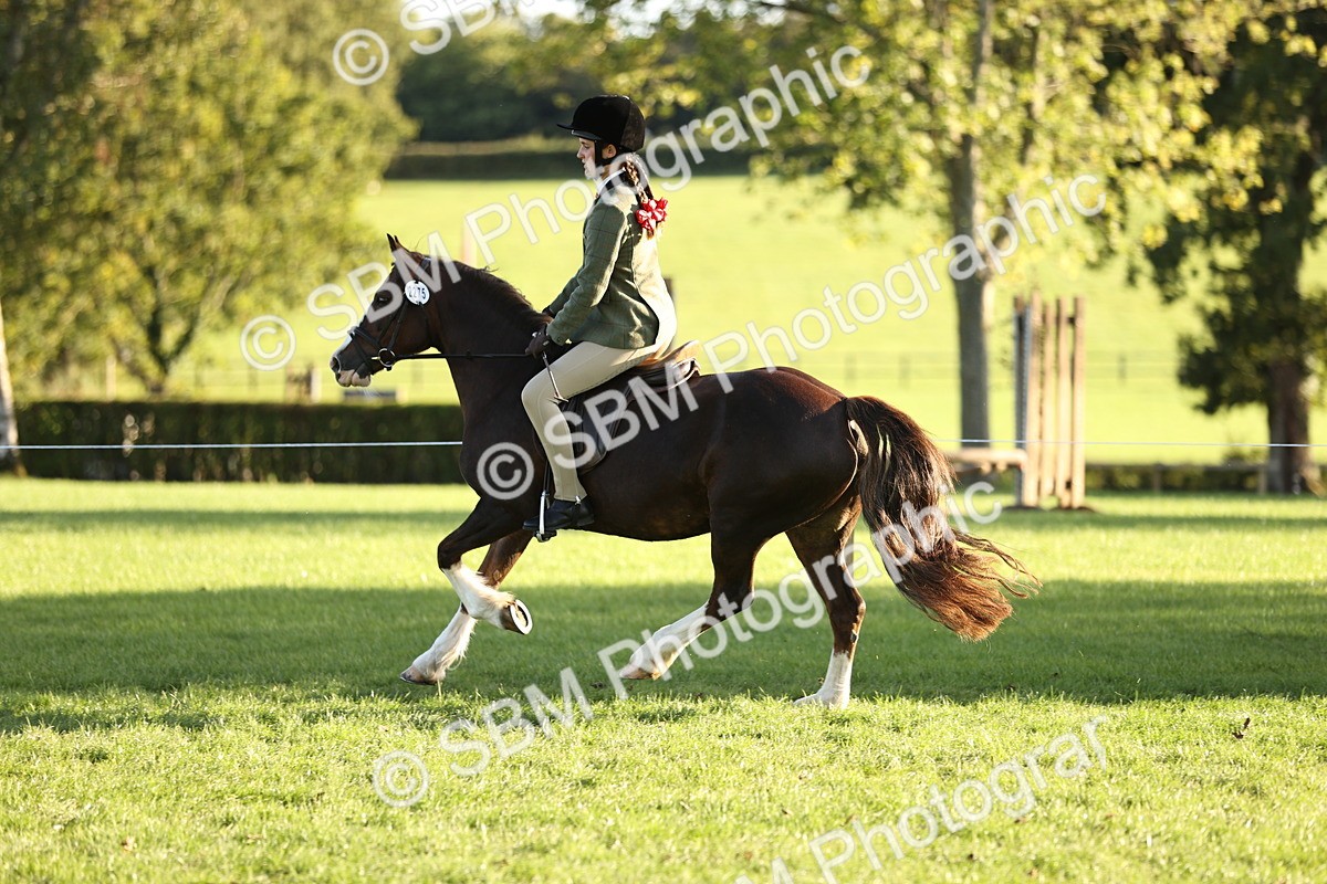 SBM_29601 - S7 - Novice & Newcomers Ridden Pony