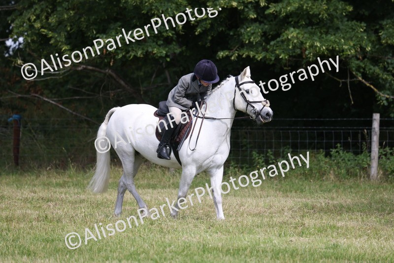 20260614-0565 - Class 20 - Beginners Working Hunter Pony