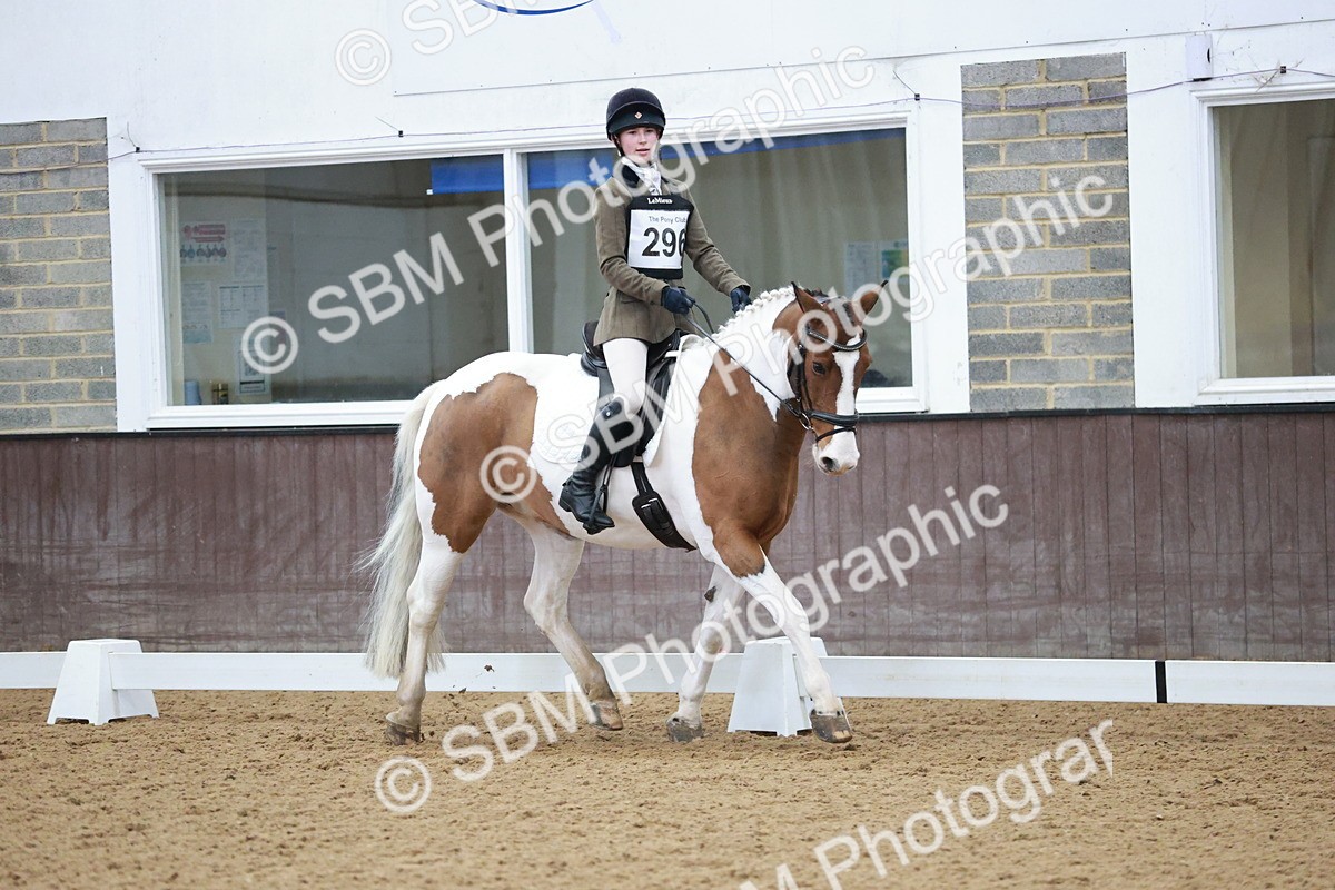 SBM_003941 - Class 2 - Novice 2020