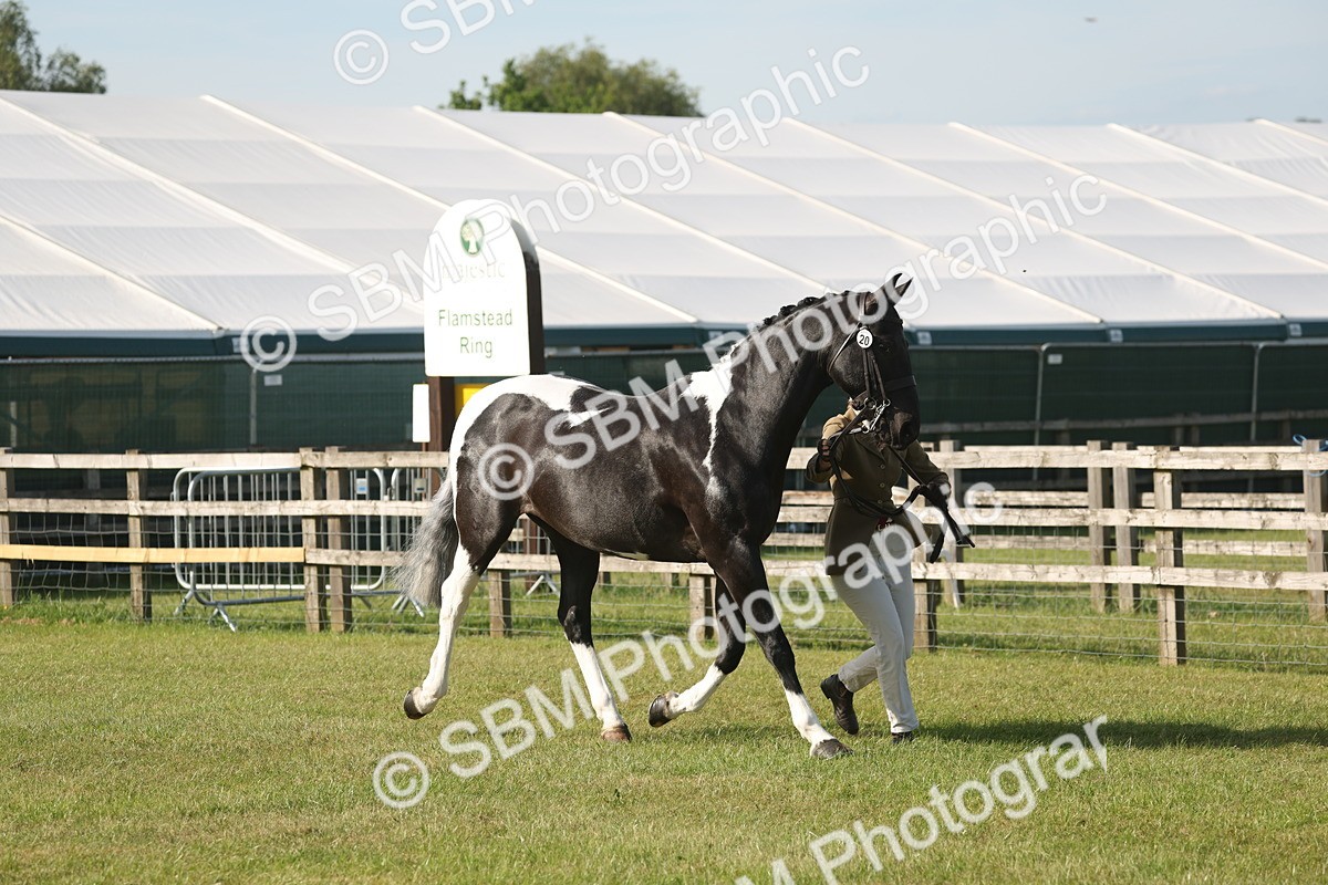 SBM_10423 - Class 33-38 - SSADL RIHS Qualifiers