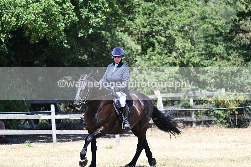 WJ7_2961 - Class 7 Riding Club Show Horse