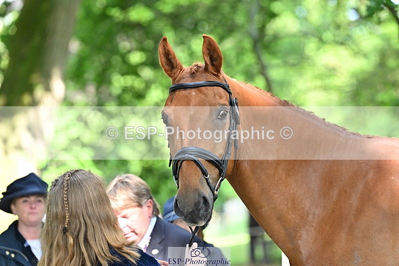 250521A-164828-01343 - C-263-Gini.Hope-PETER.PAN