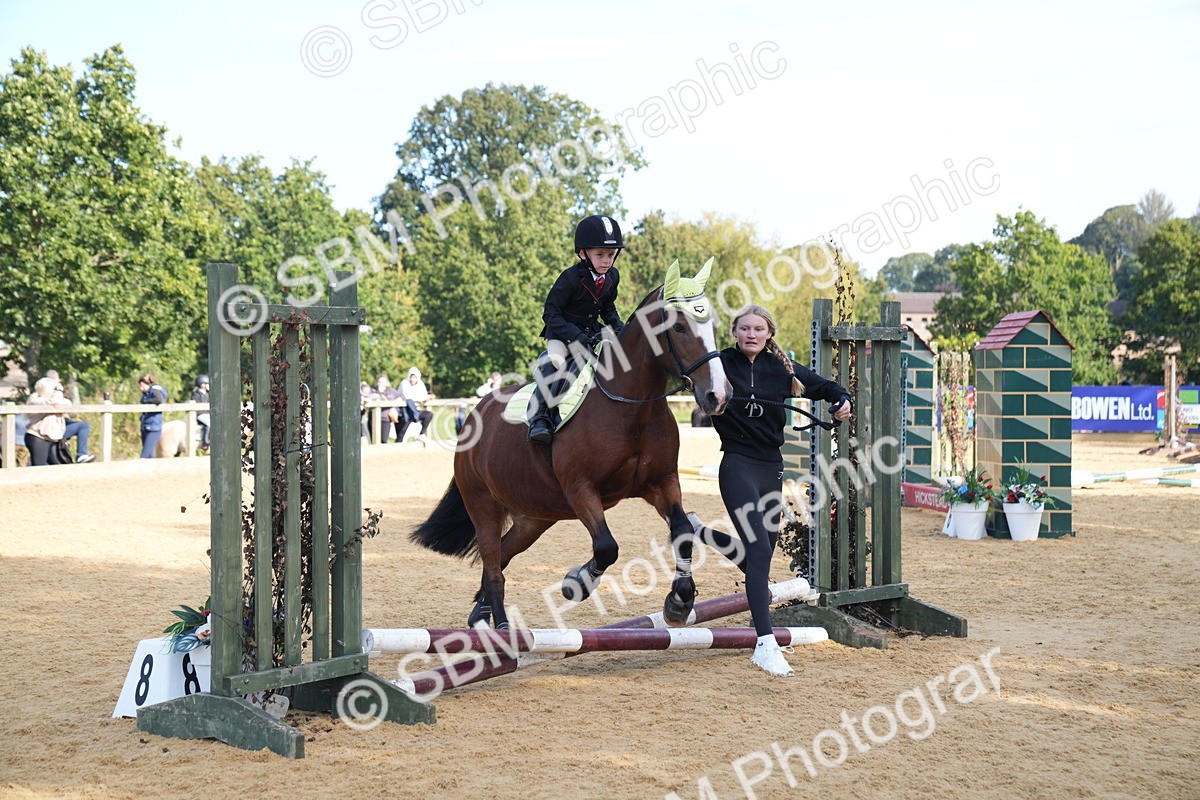 SBM_61400 - J1 - Mini Tour Junior Pony Lead Rein 30cm Championship
