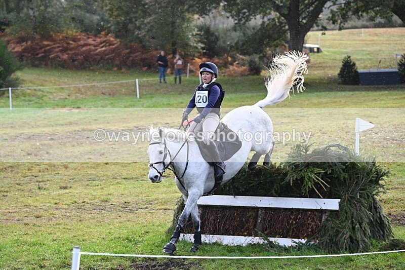 WJ6_2017 - 80cm Cam 1 Time 10:47 to 11:22