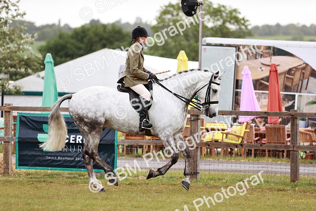 SBM_10763 - Class 81-84 - RIHS Ridden hunters Inc Ladies Hunter