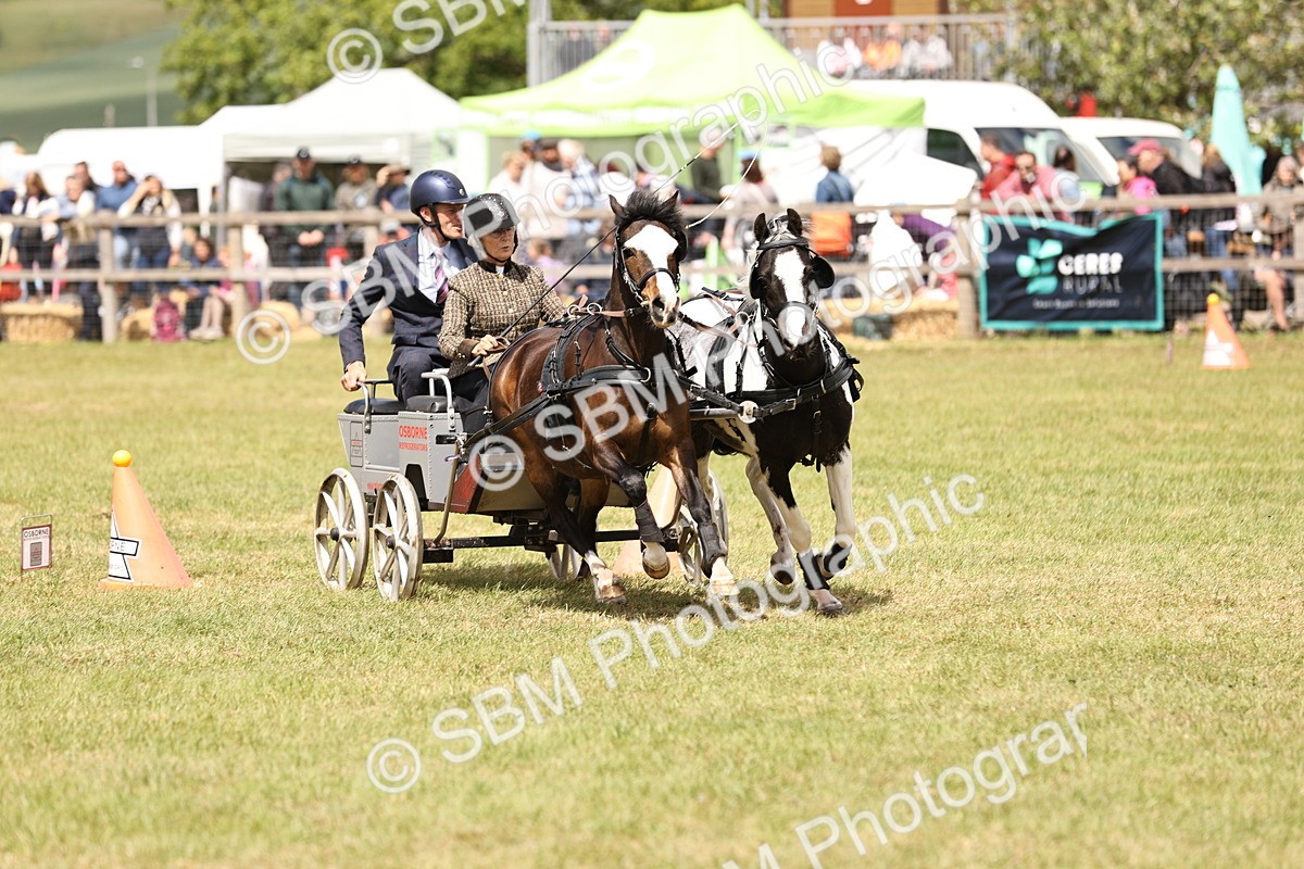 SBM_16023 - Class 91 - Scurry  exceeding 122cms