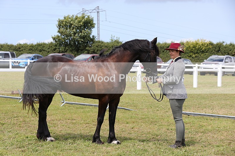 1X9A4775 - Class 35: Veteran In Hand