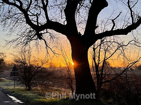 PhotoMynottART123 - Photo Mynott ART Images
