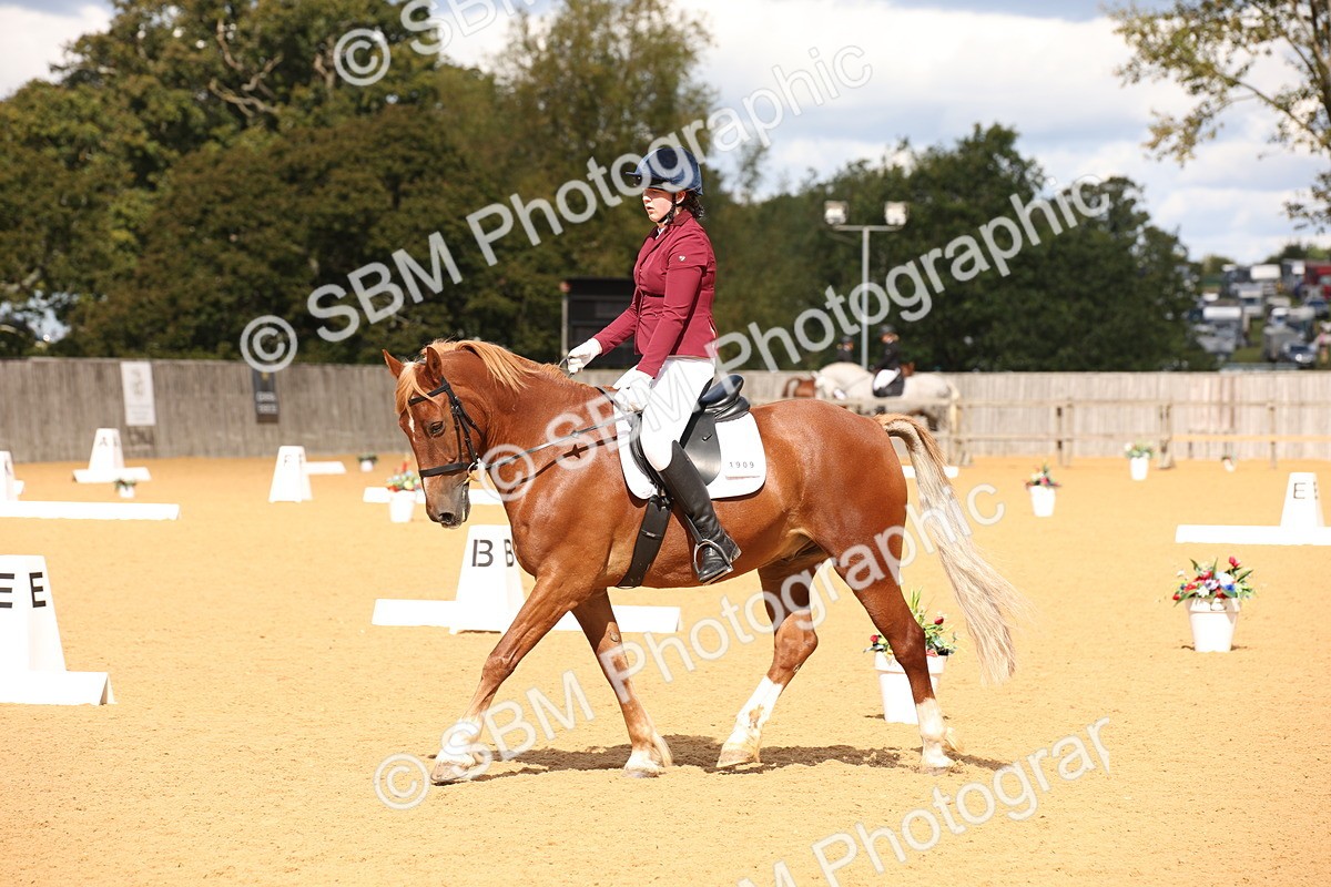 SBM_06747 - D8 Small Tour Championship Prelim 7